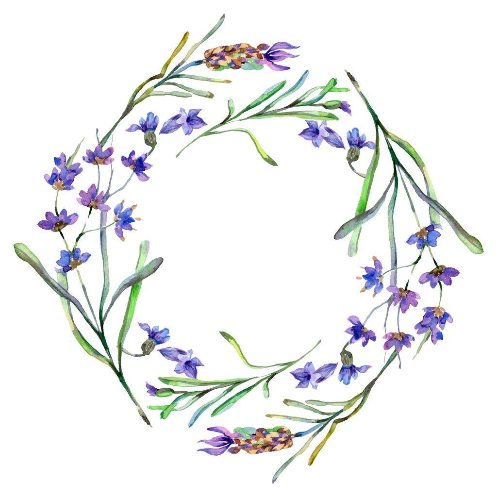 紫のラベンダーの花 春の野の花 水彩画背景イラスト リース フレームの枠線 ロイヤリティフリー写真 画像素材
