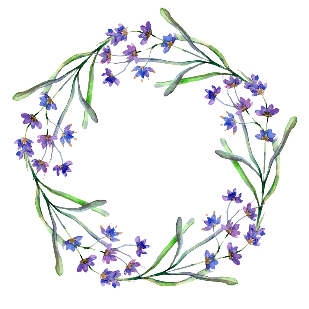 Purple lavender flowers. Spring wildflowers. Watercolor background illustration. Wreath frame border. - Photo, Image