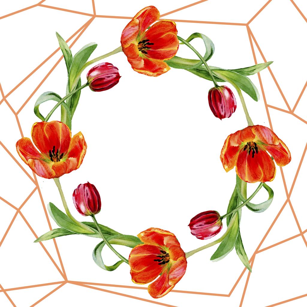 Niesamowite kwiaty czerwony tulipan z zielonych liści. Ręcznie rysowane botaniczny kwiaty. Ilustracji tle akwarela. Ramki granicznej ornament Wieniec. Geometryczne wielokątów kryształ kwarc. - Zdjęcie, obraz