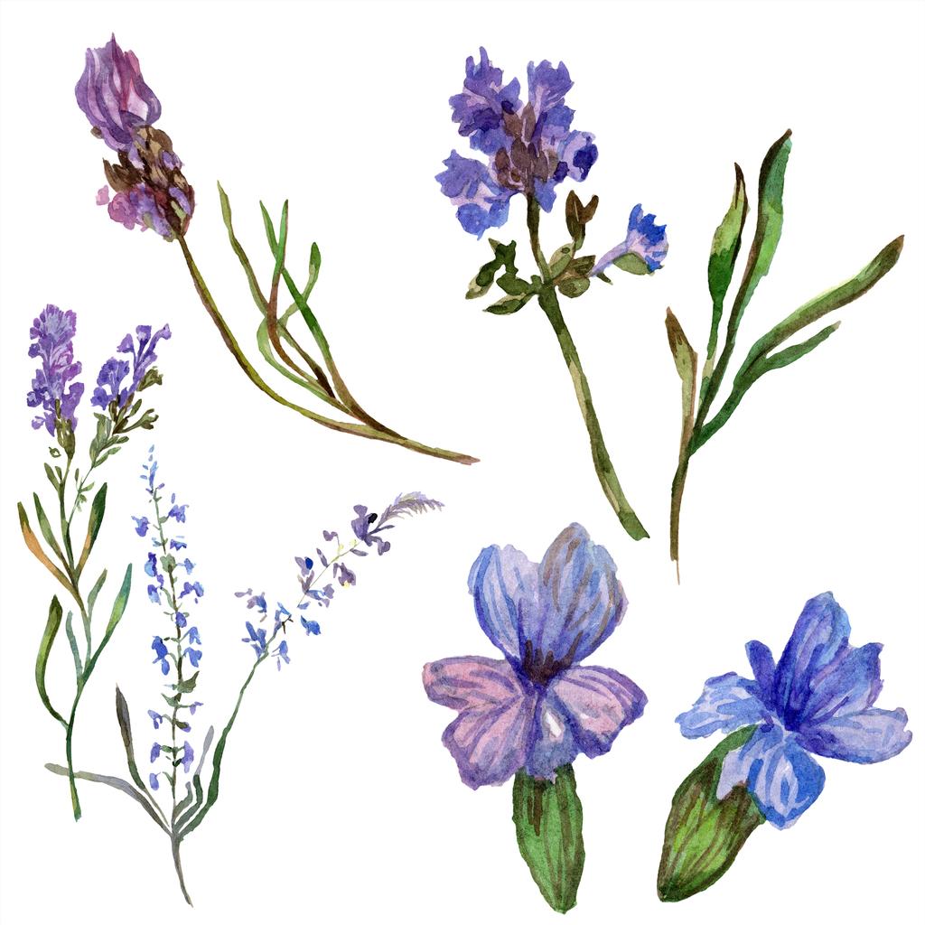 紫のラベンダーの花 野生の春の野草は 白で隔離 手は Aquarelle でラベンダーの花を描いた 水彩画背景イラスト ロイヤリティフリー写真 画像素材