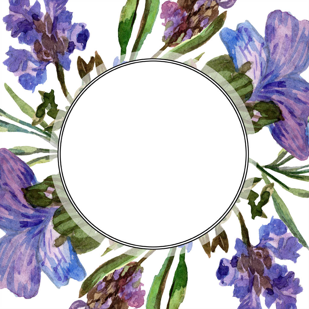 violette Lavendelblüten. wilde Frühlingsblumen mit grünen Blättern. Aquarell-Hintergrundillustration. runde Rahmenumrandung. - Foto, Bild