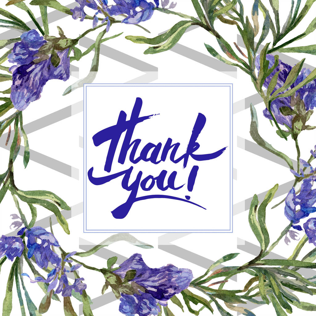 Purple lavender flowers. Thank you handwriting monogram calligraphy. Beautiful spring wildflowers. Watercolor background illustration. Frame border square. - Photo, Image