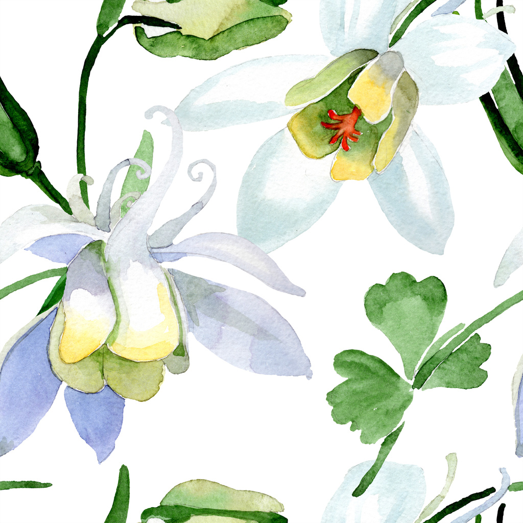 オダマキの花は白い 美しい春の野草 シームレスな背景パターン 壁紙印刷手触りの生地 水彩画背景イラスト ロイヤリティフリー写真 画像素材