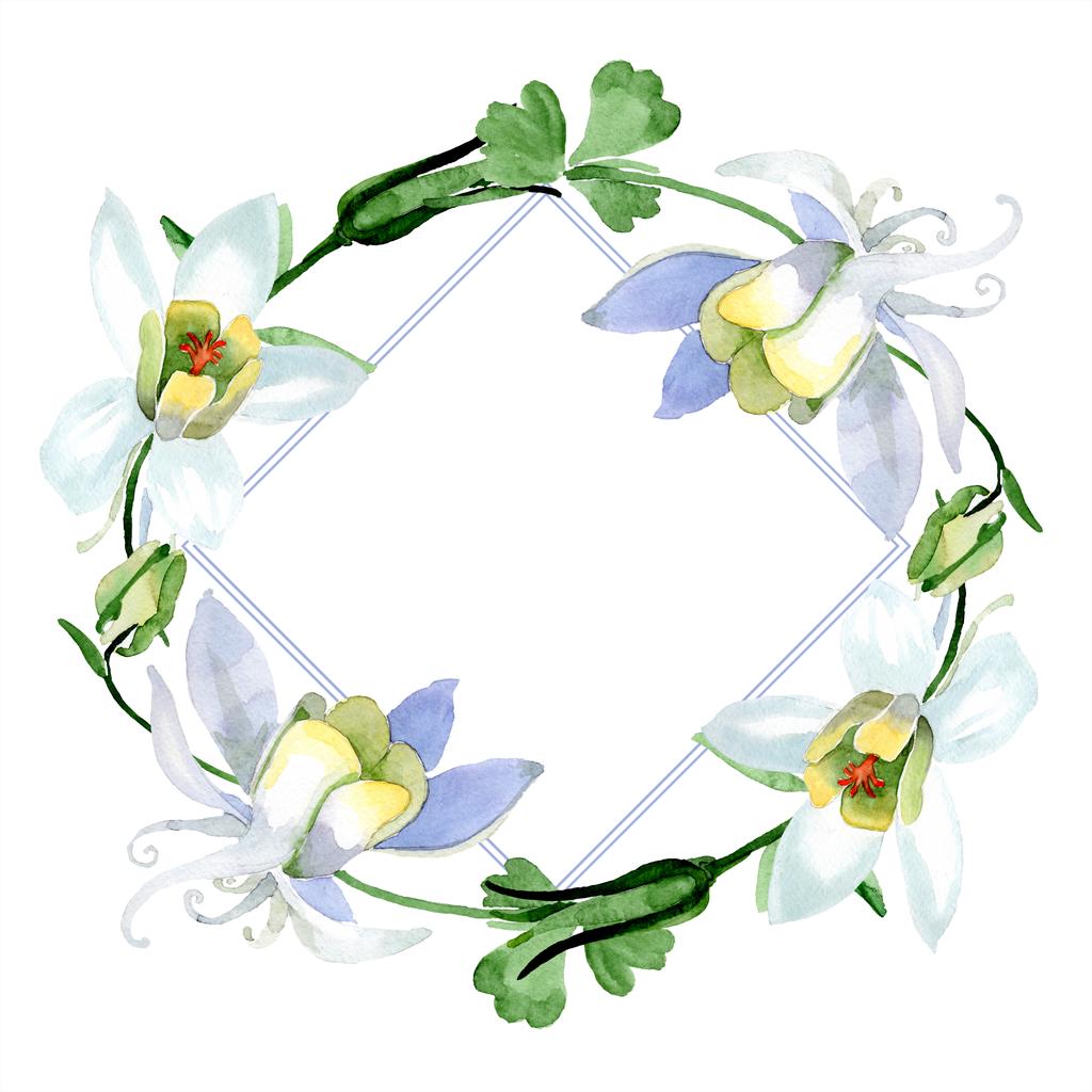 オダマキの花は白い フレーム枠飾りスクエア 水彩画背景イラスト アクワレル スタイルで描く美しいオダマキの花 ロイヤリティフリー写真 画像素材
