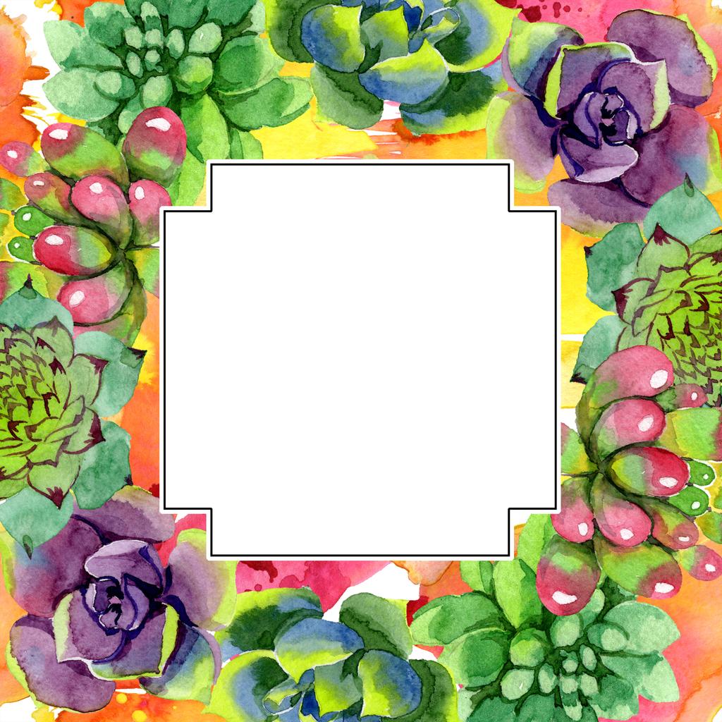 Amazing succulents. Watercolor background illustration. Geometric frame square. Aquarelle hand drawing succulent plants. - Photo, Image