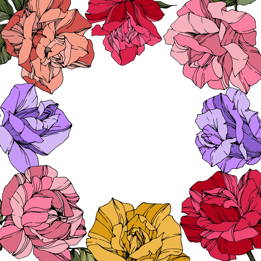 Fleurs vectorielles roses. Fleurs botaniques florales. Encre gravée rouge, rose et violet. Illustration carrée bordure florale
. - Vecteur, image