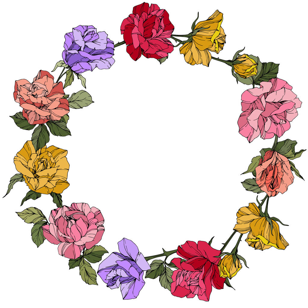 Roses vectorielles. Fleurs botaniques florales. Encre gravée rouge, rose et violet. Cadre bordure ornement couronne
. - Vecteur, image