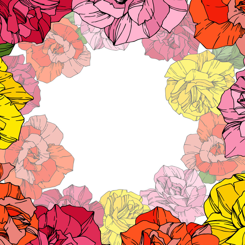 Roses vectorielles. Fleurs botaniques florales. Encre gravée rouge, rose et jaune. Illustration carrée bordure florale
. - Vecteur, image