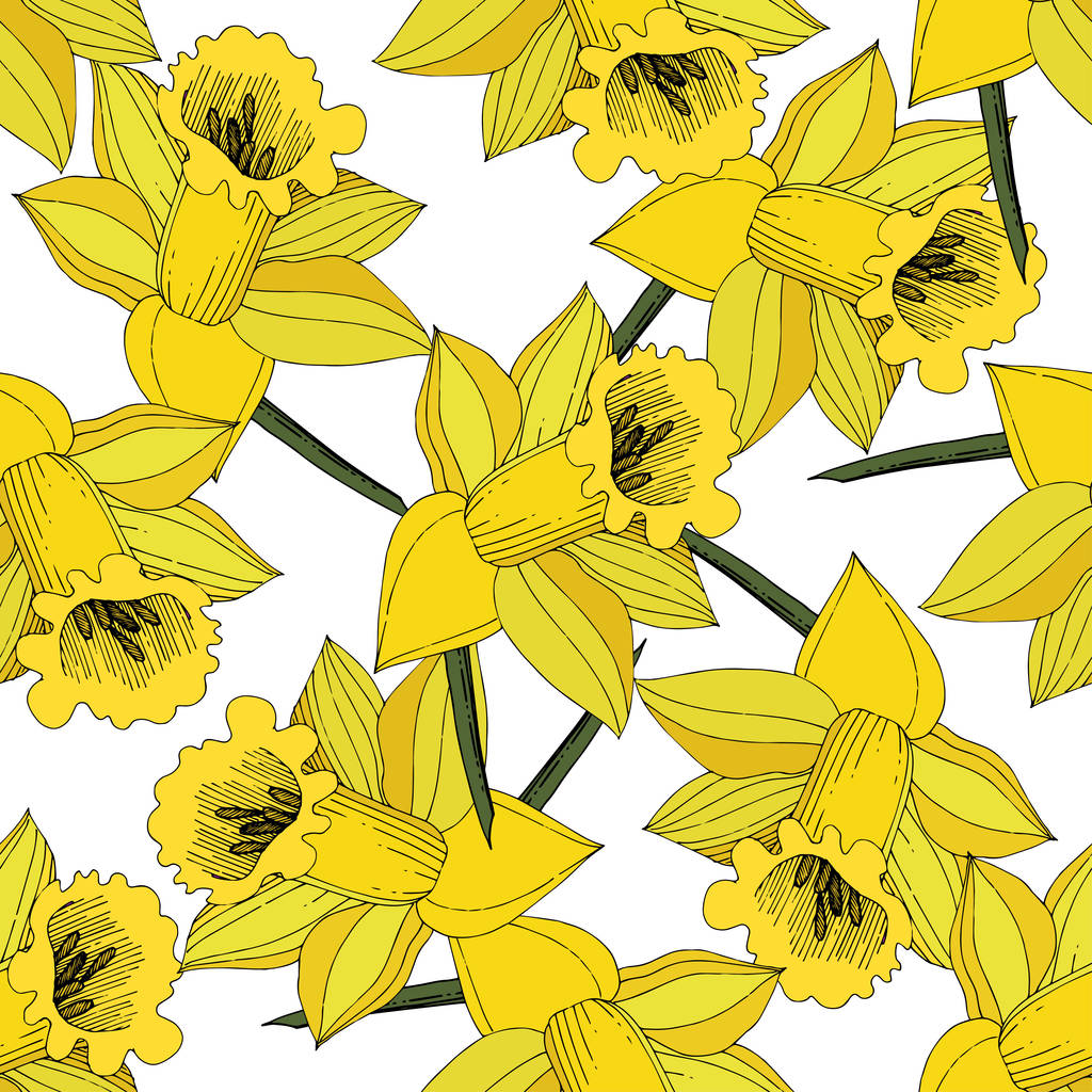Vektori Narcissus kukkia. Keltaista kaiverrettua mustetaidetta. Saumaton kuvio. Kangas tapetti tulostaa tekstuuri valkoisella taustalla
. - Vektori, kuva