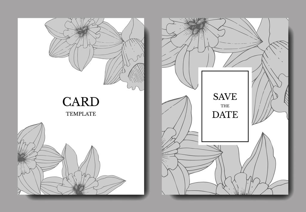 Vector Narcissus flowers. Wedding cards with floral decorative borders. Black and white engraved ink art. Thank you, rsvp, invitation elegant cards illustration graphic set banners. - Vector, Image