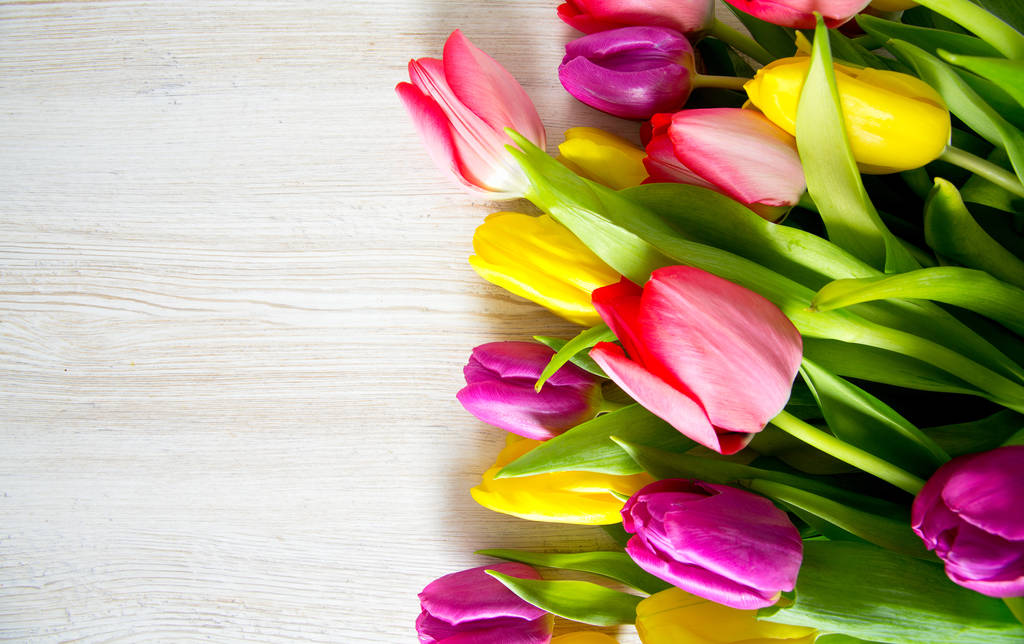 tulipes colorées sur surface en bois
 - Photo, image