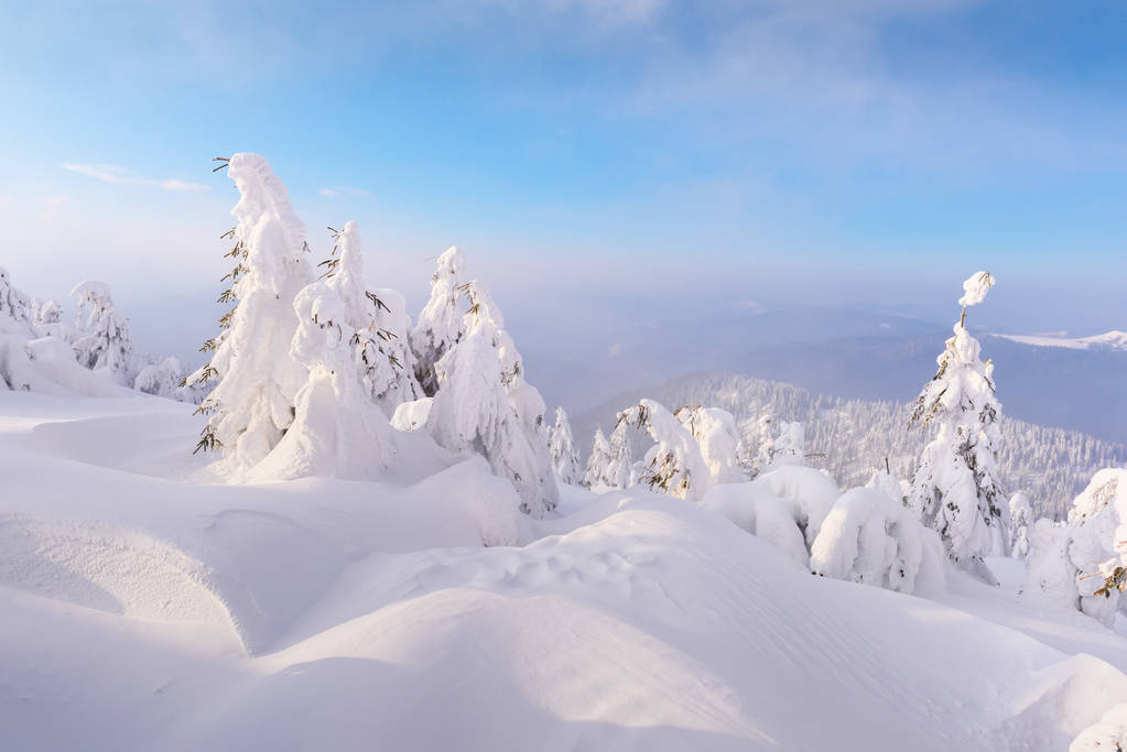 幻想的な冬の風景 - 写真・画像