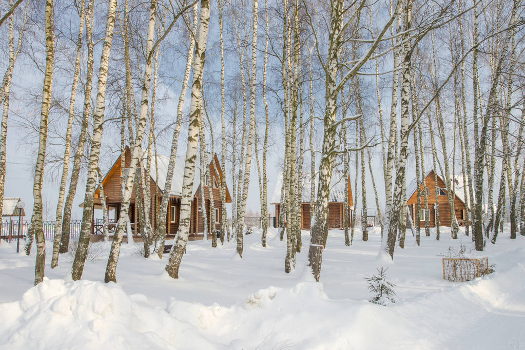 Besneeuwde landschap met bomen en blauwe hemel, Russische winter. Houten huis. - Foto, afbeelding