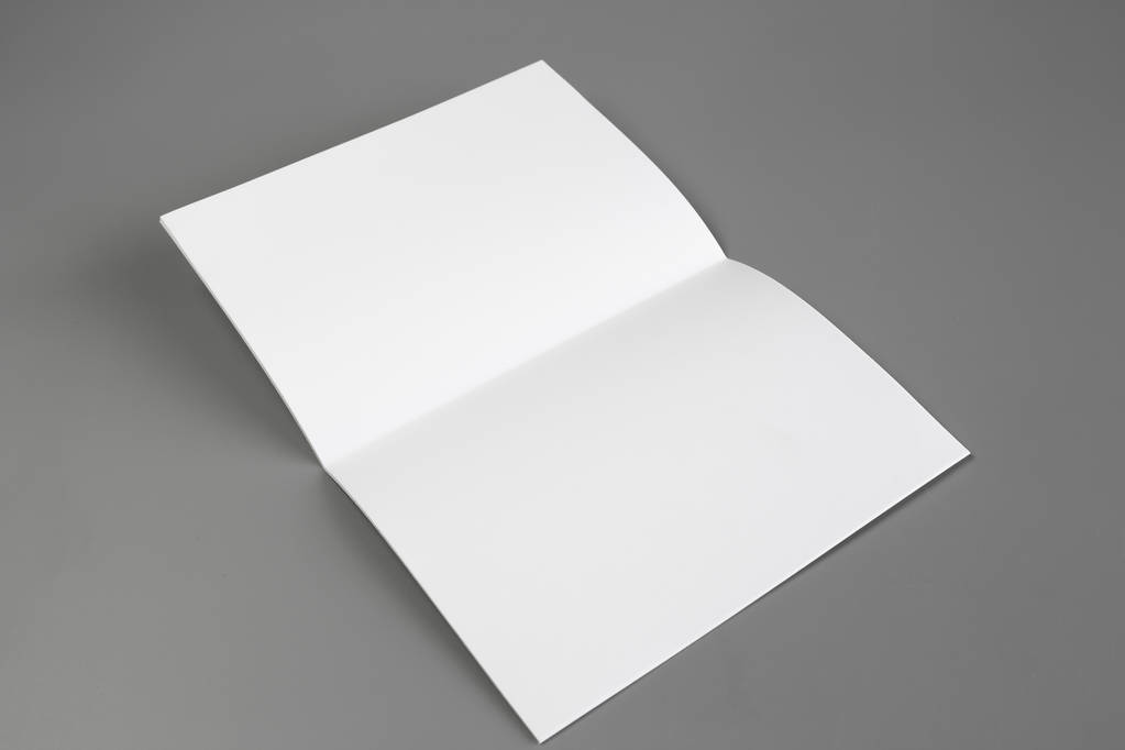Ritratto vuoto A4. brochure rivista isolata su sfondo grigio, variabile / carta bianca isolata su sfondo grigio
 - Foto, immagini