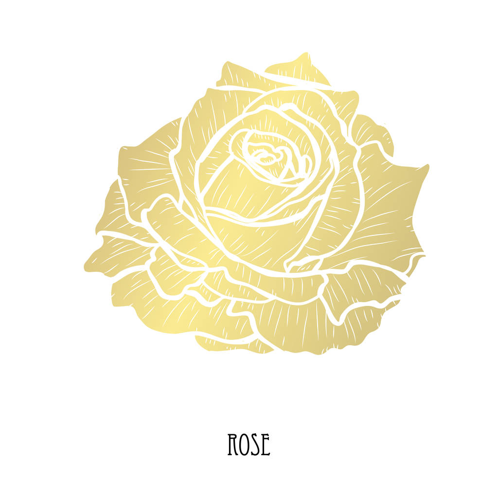 Декоративный цветок розы, элемент дизайна. Можно использовать для открыток, приглашений, плакатов, печатного дизайна. Золотые цветы
 - Вектор,изображение