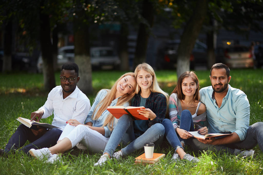 Groupe mixte d'étudiants assis ensemble sur la pelouse verte du campus universitaire
 - Photo, image