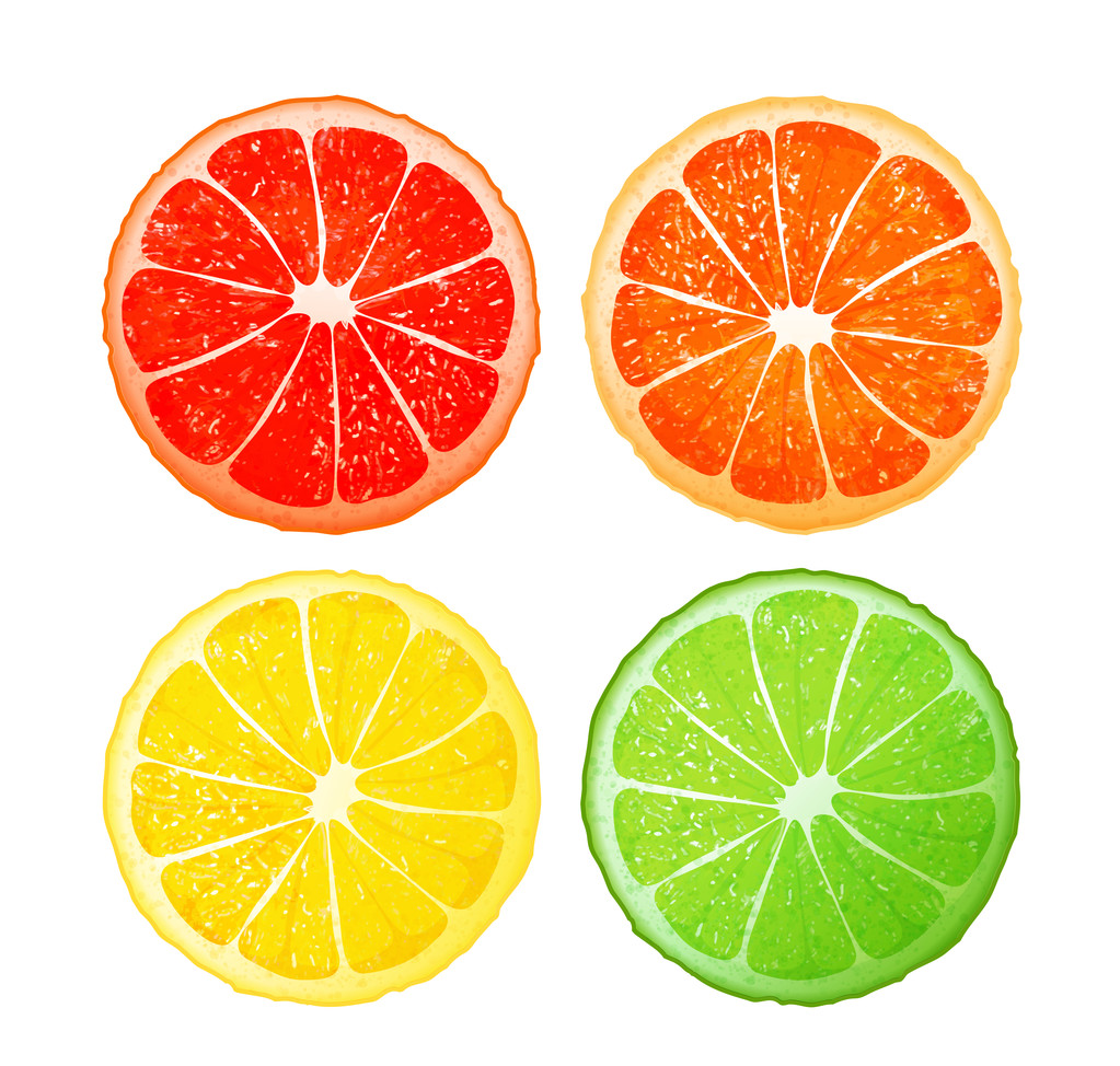 Citrus fruits, vector design - Vector, Image