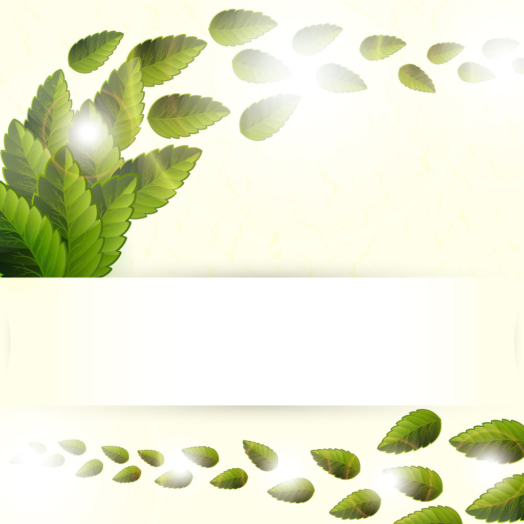 Green leaves texture. Vector illustration - Vector, Image
