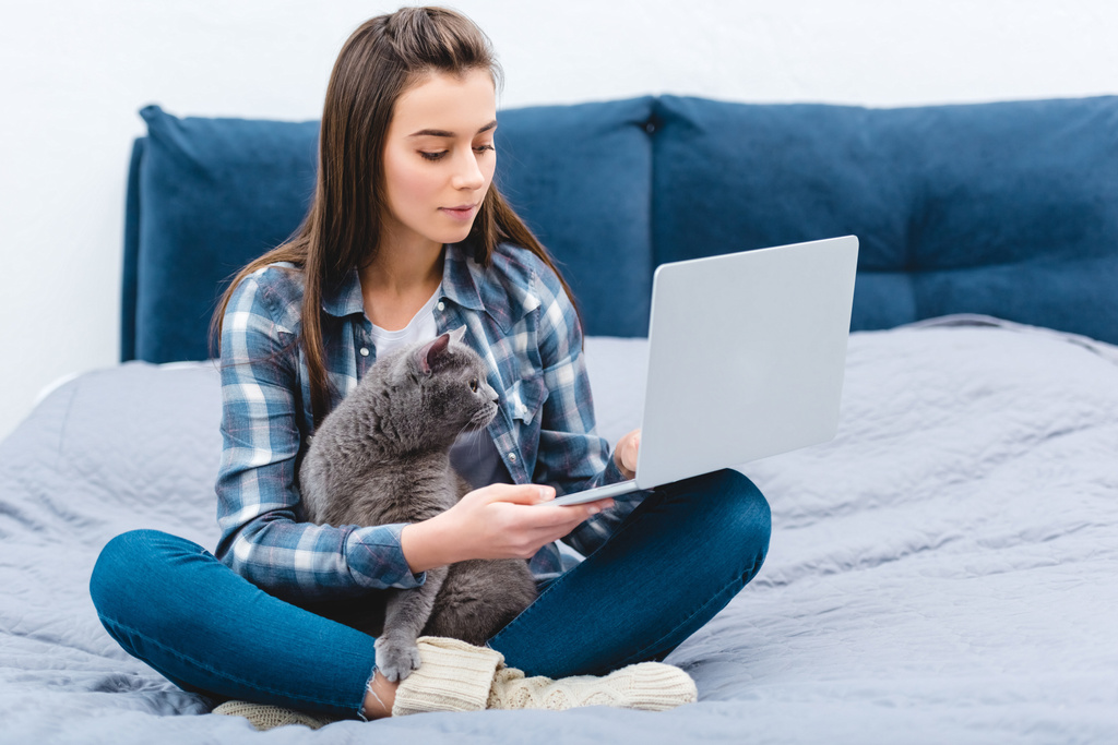 νεαρή γυναίκα που χρησιμοποιούν φορητό υπολογιστή ενώ κάθεται στο κρεβάτι με χαριτωμένο Βρεταννόs στενογραφία γάτα  - Φωτογραφία, εικόνα