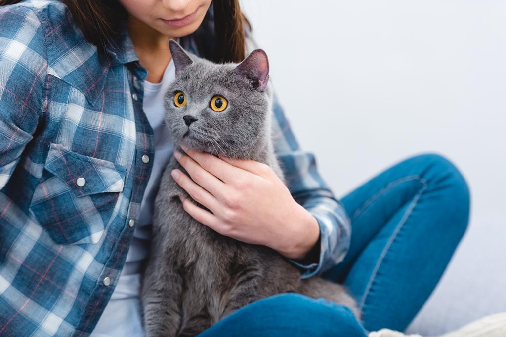 Schnappschuss einer jungen Frau, die mit entzückender grauer Katze sitzt - Foto, Bild
