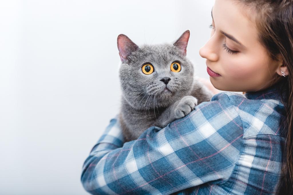 美しいグレーのブリティッシュショートヘアの猫を持つ若い女性 - 写真・画像