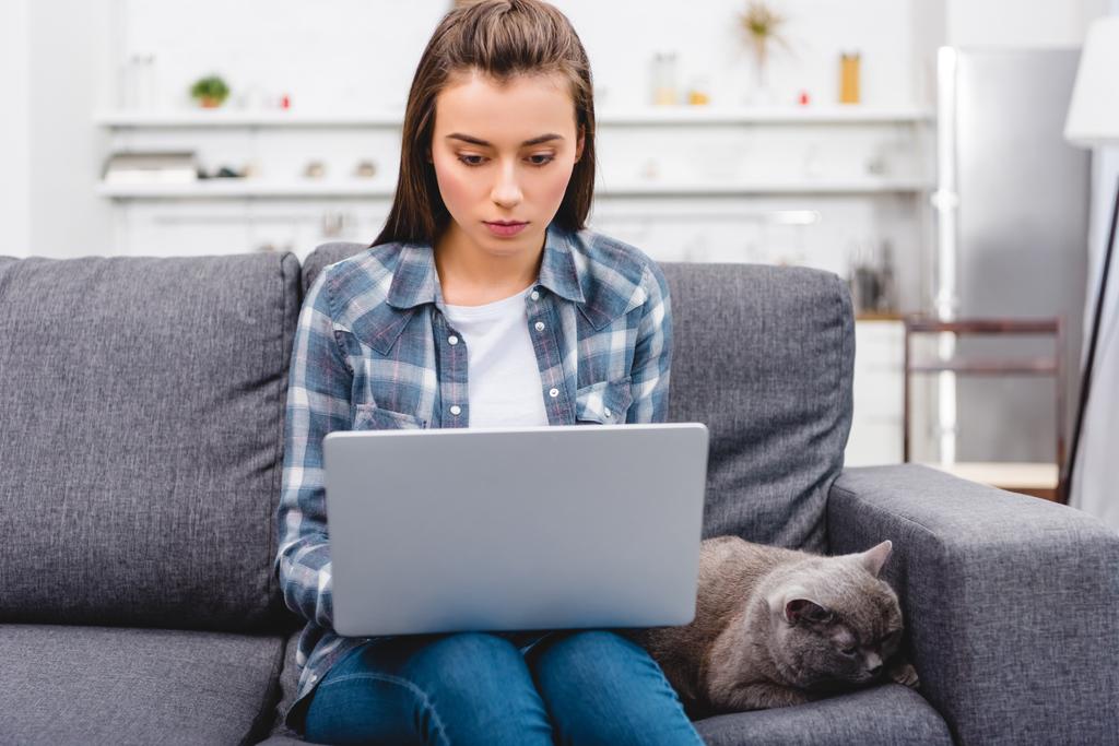 κορίτσι χρησιμοποιούν φορητό υπολογιστή ενώ κάθεστε στον καναπέ με χαριτωμένο γκρι γάτα - Φωτογραφία, εικόνα