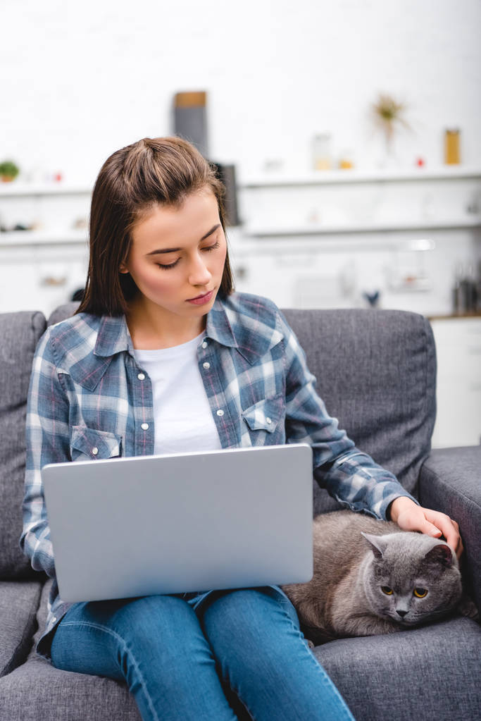 νεαρή γυναίκα με φορητό υπολογιστή και χαϊδεύοντας γκρίζα γάτα στο σπίτι - Φωτογραφία, εικόνα