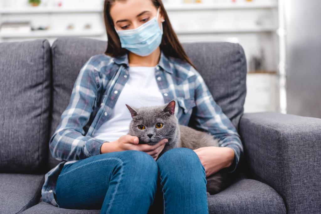 mujer en máscara médica sosteniendo gato y sufriendo de alergia en casa
  - Foto, Imagen