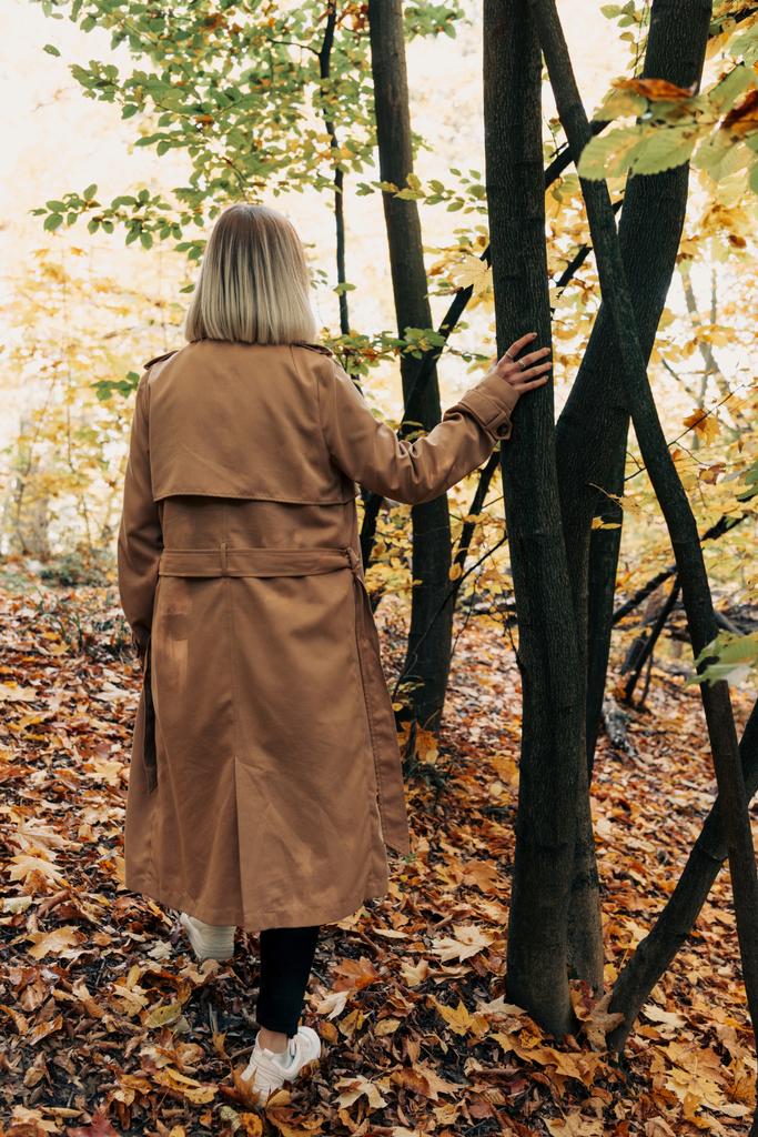Achteraanzicht van de vrouw permanent in herfst bos en aanraken van boomstam - Foto, afbeelding