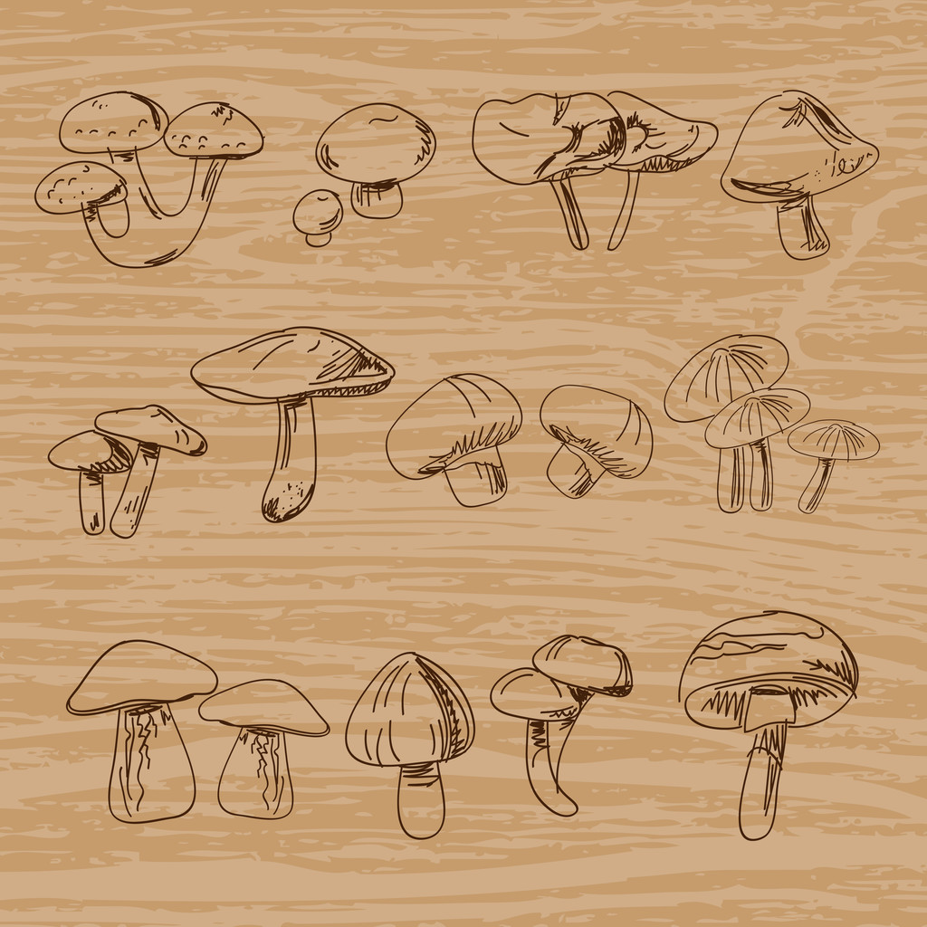 Ensemble de champignons vintage dessinés à la main. Illustration vectorielle
 - Vecteur, image