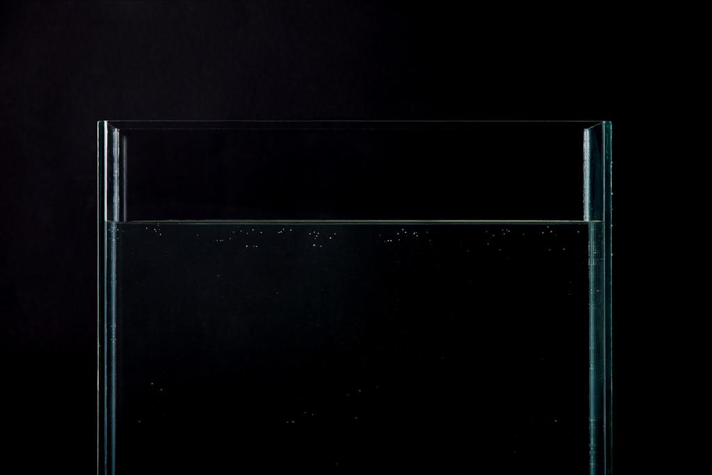 acquario vuoto con acqua pura isolata su nero
 - Foto, immagini