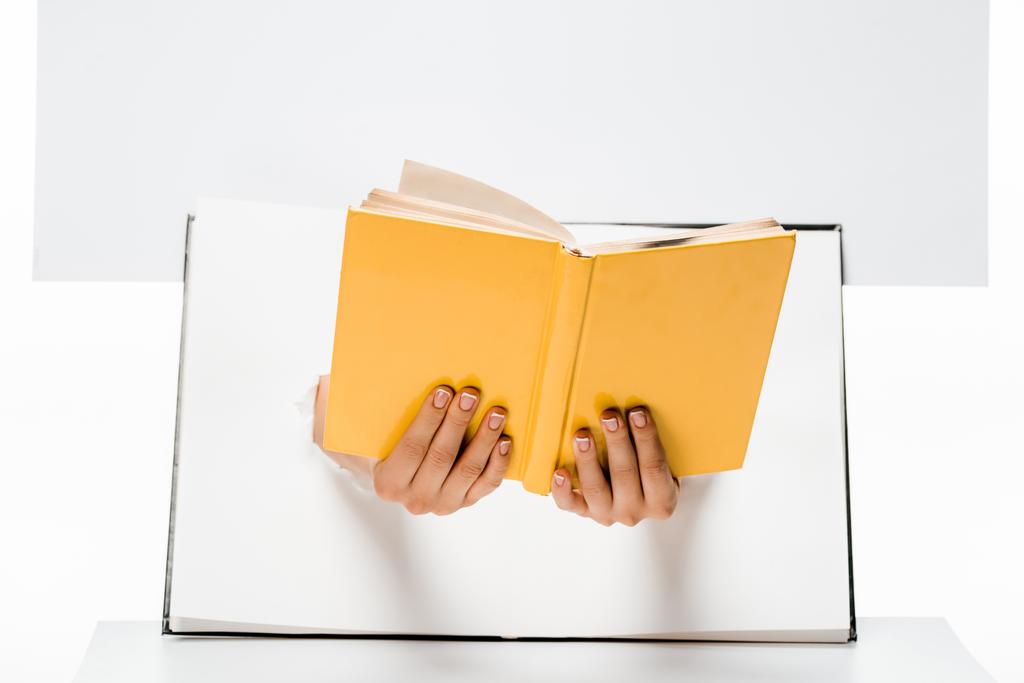 tiro cortado de mulher segurando livro através de buracos em branco
 - Foto, Imagem