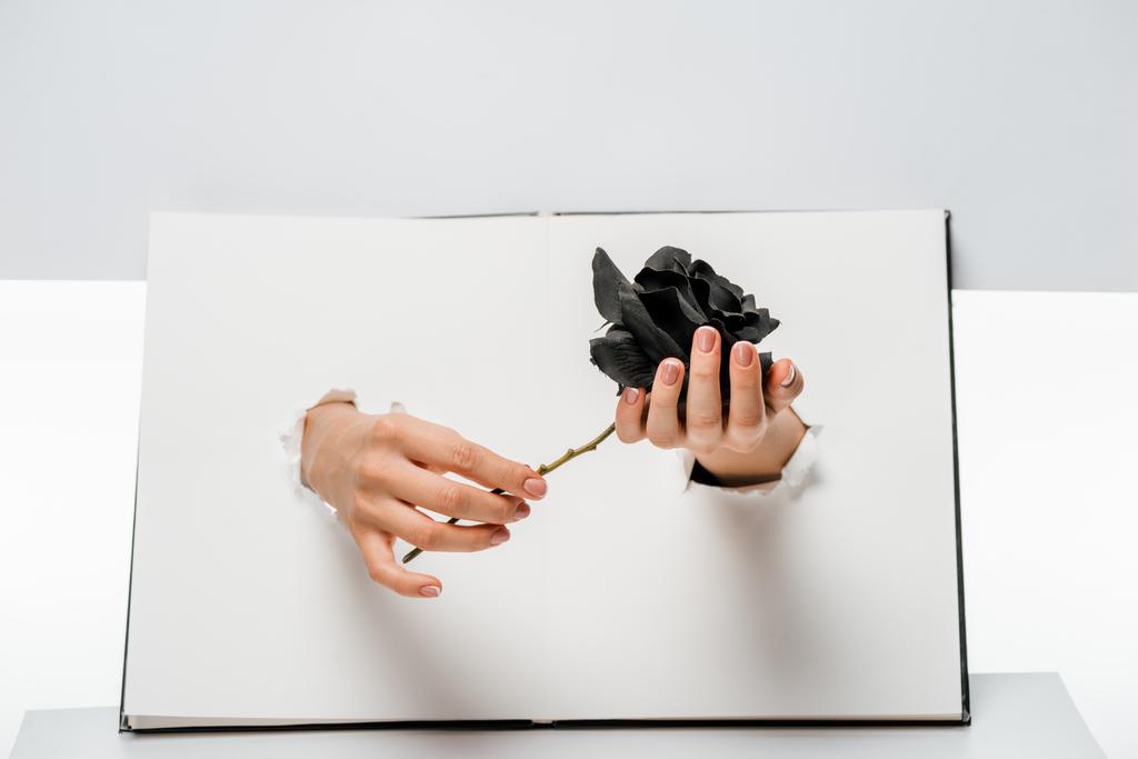 bijgesneden schot van vrouw met zwart roze bloem door gaten op wit - Foto, afbeelding
