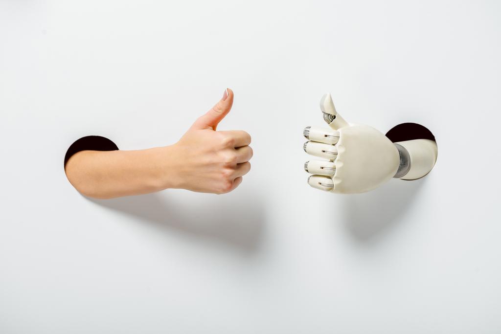 bijgesneden afbeelding van vrouw en robot duimen opdagen door gaten op wit - Foto, afbeelding