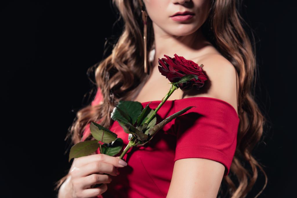 vue partielle de la femme en robe rouge tenant rose isolé sur noir
 - Photo, image
