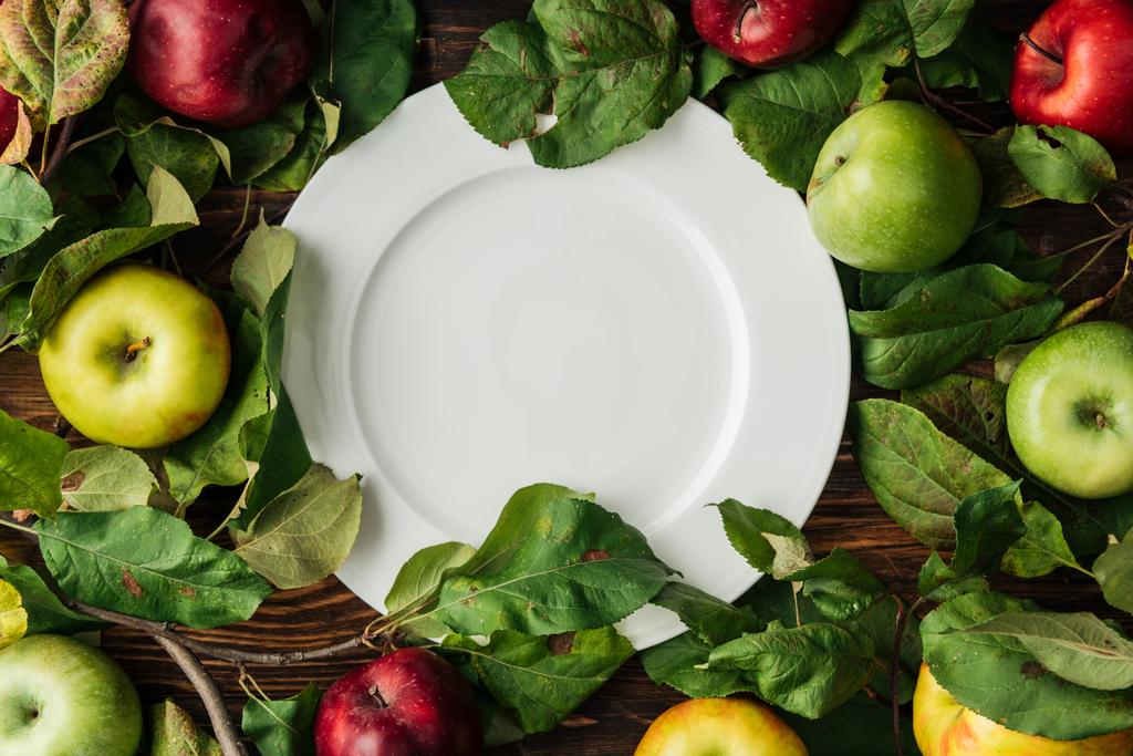 Draufsicht auf weißen Teller, bunte Äpfel und Zweige mit Blättern auf Holztisch  - Foto, Bild
