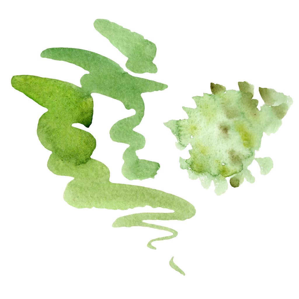 白で隔離の葉で緑のイチョウ葉。水彩イチョウ分離の図要素を描画. - 写真・画像