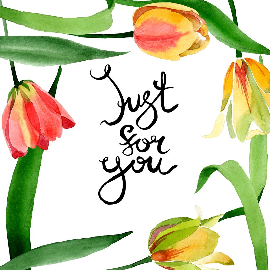 Sárga tulipánok elszigetelt fehér, zöld levelekkel. Akvarell háttér illusztráció. Csak az Ön kalligráfia. - Fotó, kép