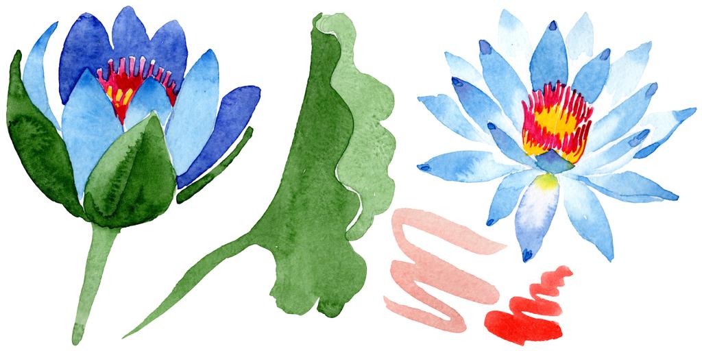 美しい青蓮の花は 白で隔離 水彩画背景イラスト 水彩ファッション Aquarelle 分離蓮花図要素を描画 ロイヤリティフリー写真 画像素材