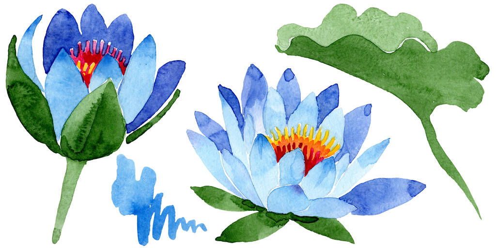 Gyönyörű kék lótuszvirág elszigetelt fehér. Akvarell háttér illusztráció. Akvarell, rajz, divat aquarelle elszigetelt lótusz virágok ábra elem. - Fotó, kép