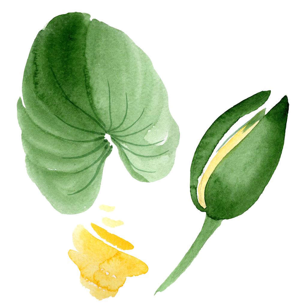 Gele lotusbloem op wit wordt geïsoleerd. Aquarel achtergrond illustratie. Aquarel tekenen mode aquarelle geïsoleerde lotus afbeelding element - Foto, afbeelding