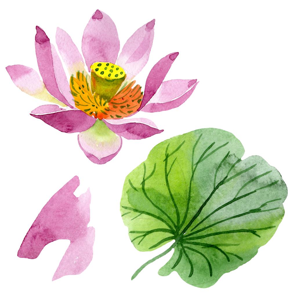Gyönyörű lila lótuszvirág elszigetelt fehér. Akvarell háttér illusztráció. Akvarell, rajz, divat aquarelle elszigetelt lotus flower ábra elem - Fotó, kép