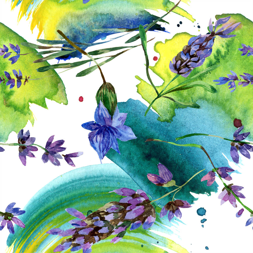 Красивые фиолетовые цветы лаванды изолированы на белом. Акварельная фоновая иллюстрация. Акварель для рисования акварелью. Бесшовный рисунок фона
. - Фото, изображение