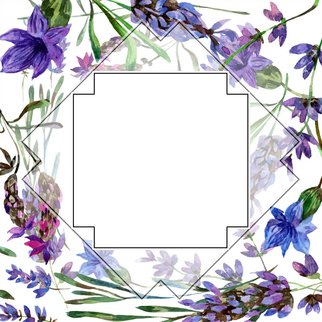 美しい紫色のラベンダーの花は白で隔離 水彩画背景イラスト 水彩描画ファッション Aquarelle フレーム枠飾り ロイヤリティフリー写真 画像素材