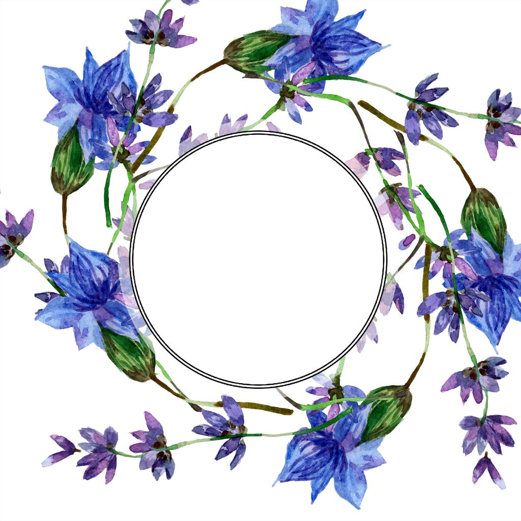 Красивые фиолетовые цветы лаванды изолированы на белом. Акварельная фоновая иллюстрация. Акварель для рисования акварелью. Граничный орнамент
. - Фото, изображение