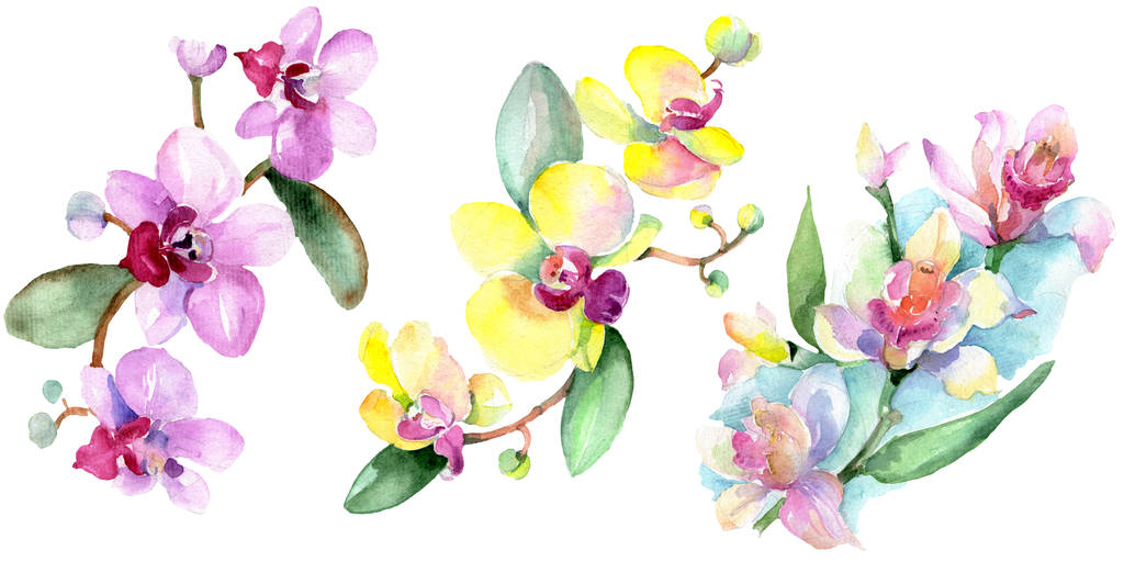 Hermosas flores de orquídea con hojas verdes aisladas en blanco. Ilustración de fondo acuarela. Acuarela dibujo moda aquarelle. Elemento ilustrativo de orquídeas aisladas
. - Foto, Imagen