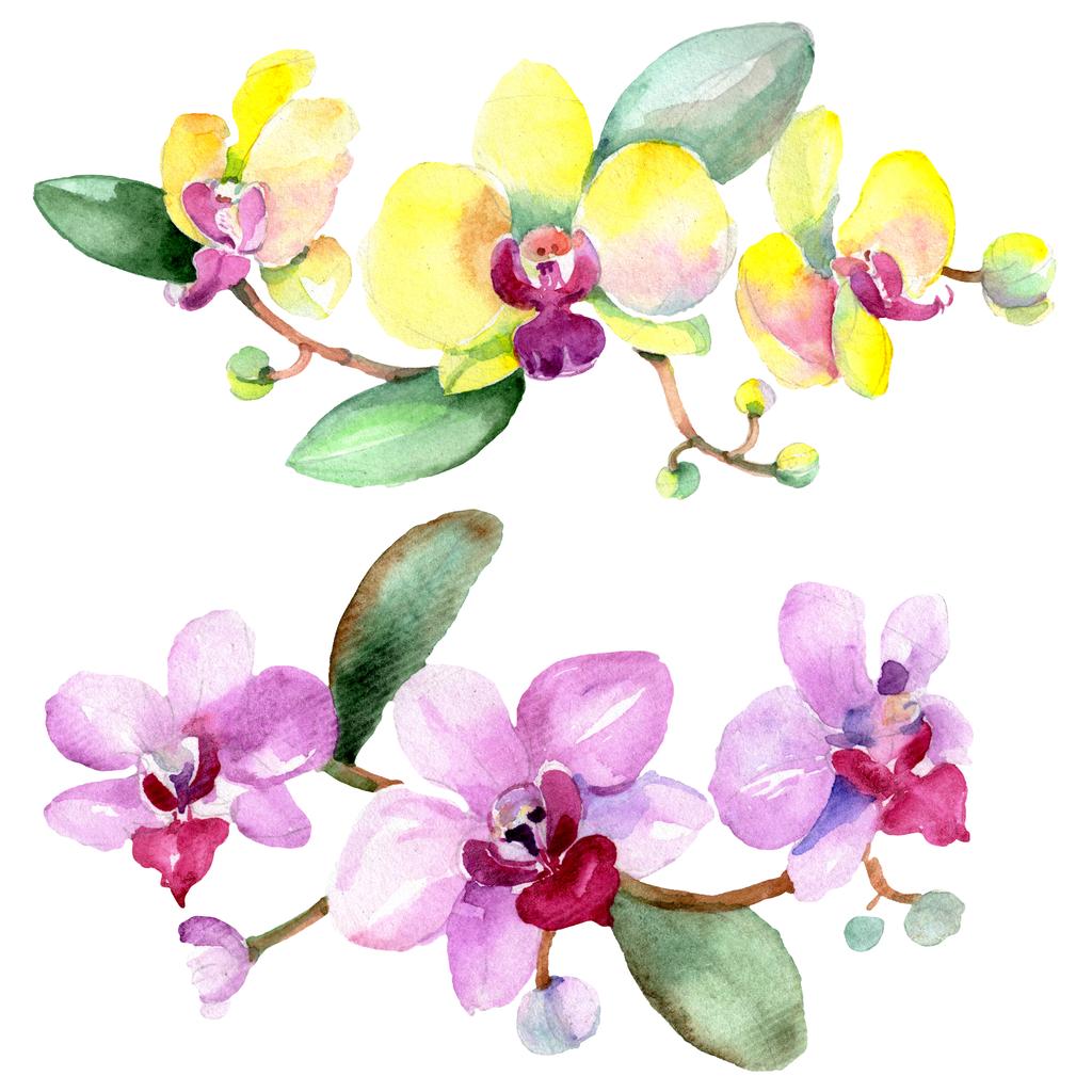 Foto e imagen de stock sin royalties de Hermosas Flores De Orquídea Con  Hojas Verdes
