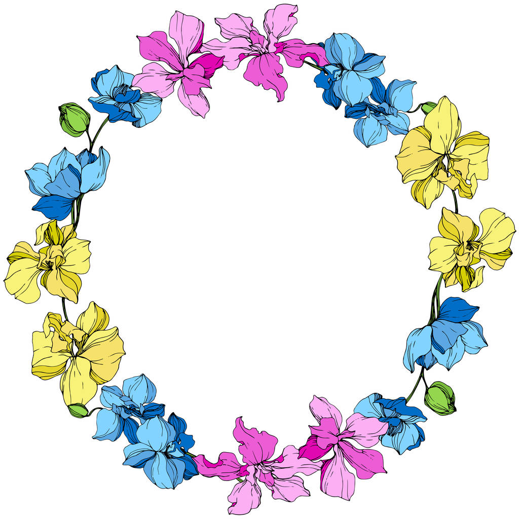 Yellow, blue and pink orchids. Engraved ink art. Frame floral wreath on white background. - Vector, Image