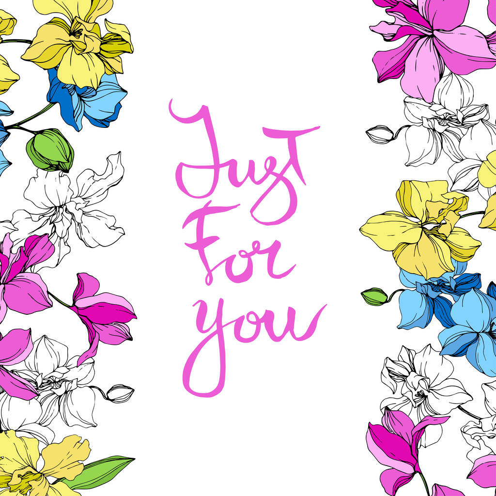 Yellow, blue and pink orchids. Engraved ink art. Floral borders. Just for you handwriting monogram calligraphy. - Vector, Image