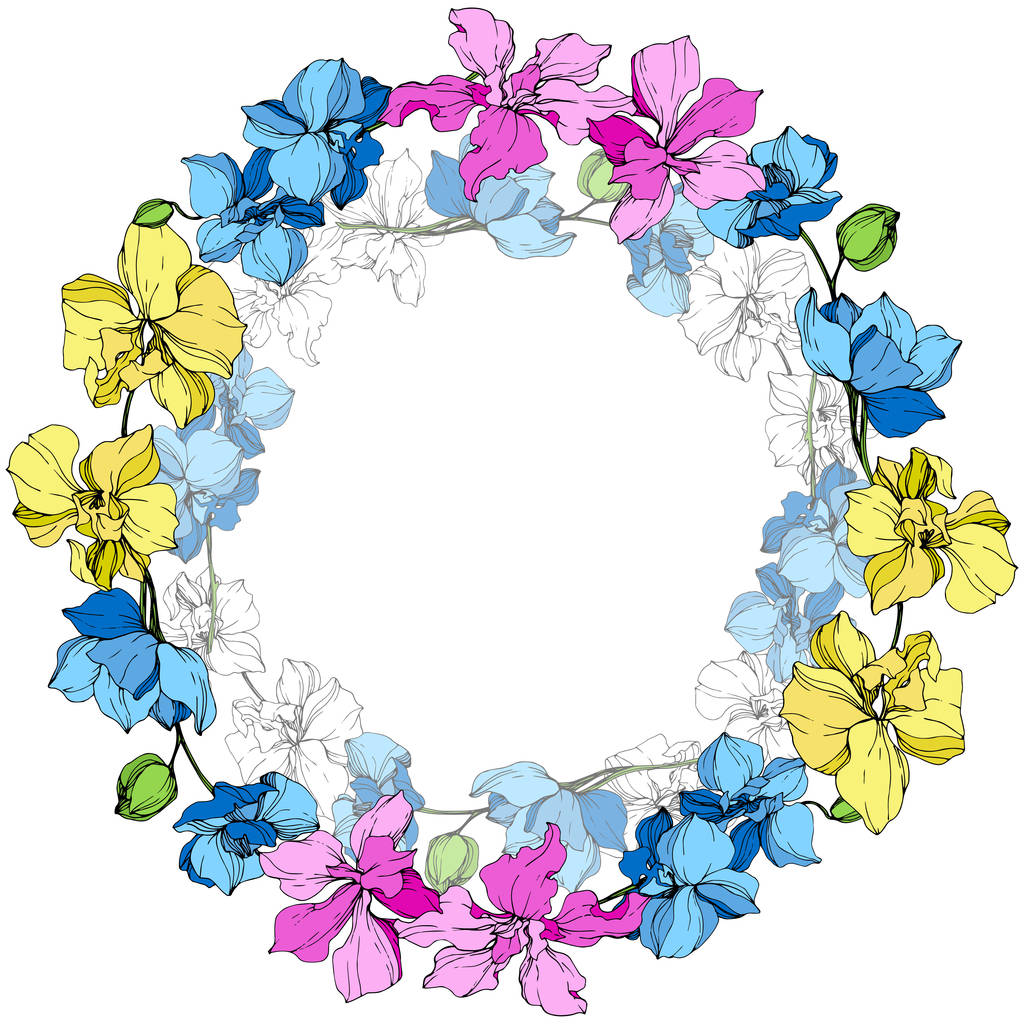 Gele, blauwe en roze orchideeën. Gegraveerde inkt art. Frame bloemen krans op witte achtergrond. - Vector, afbeelding